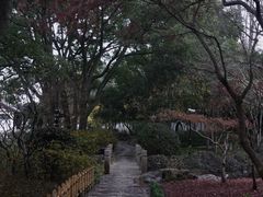 -秋霞圃