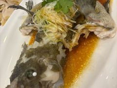 -东国海鲜火锅城(氹仔店)