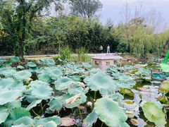 -中国翰园碑林