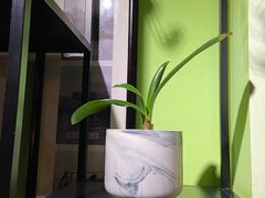 -百味馆·粤菜·湛江菜(后海花园店)