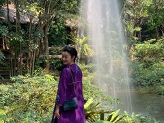 -绿光森林餐厅