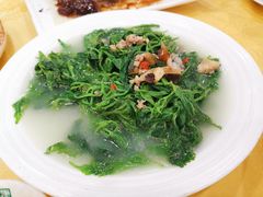上汤桑叶-姚林轩