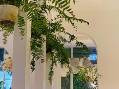 -春树下·树屋花房西餐厅(罍街AS1980店)