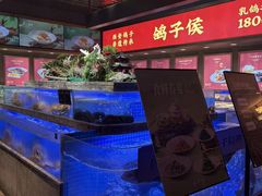 -鸽子侯·家宴·平价海鲜(绿地店)