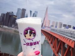 -纸盐河码头火锅(十八梯店)