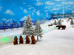 -世界之窗阿尔卑斯冰雪世界