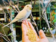 -上海大自然野生昆虫馆(东方明珠·爬宠昆虫探索中心)