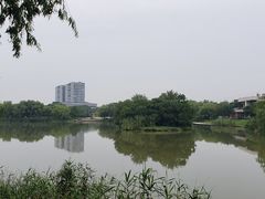 -九里河湿地公园