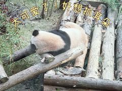 -杭州动物园