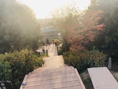 -鹦鹉寺公园