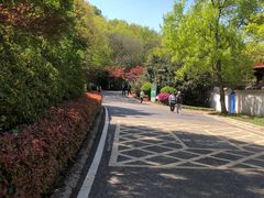 -南京市江宁方山