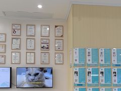 -谐和贝康宠物医院24小时·宠保定点(急重症转诊中心)