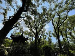 -天一阁博物院