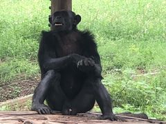 -石家庄市动物园