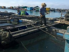 -海上驿站渔家菜馆