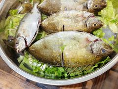 涮泥猛鱼-丰尔粥食·粥底火锅(大良总店)