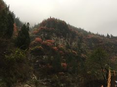 -黄花溪