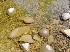 -南通洲际绿博园