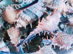 -有间冰室(侨港风情街店)