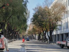 -黑龙江中医药大学