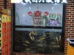 -肥鱼屯活鱼锅(惠工街店)