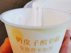 自制酸奶-紫光园(马桥店)
