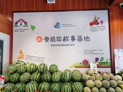 -叁拾加水果专家