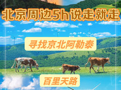 -百里天路