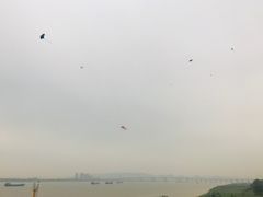 -羚羊峡古栈道森林公园