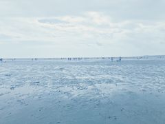 -南汇嘴观海公园