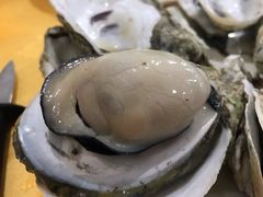 肥嘟嘟生蚝-蚝专家(北滘店)