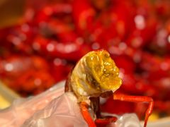 -一棠龙虾•王牌虾球(恒隆广场店)