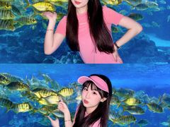 -海合安成都极地海洋公园