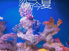 -避尘 Bsense·SPA(新会展总店)