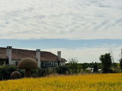 -嘉北郊野公园