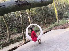 -石燕湖生态旅游景区