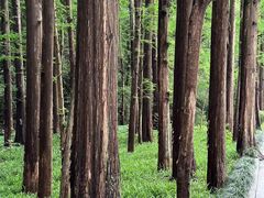 -杭州西湖风景名胜区-满觉陇四眼井