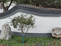 -团结湖公园