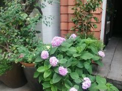-花迹(富春江东街店)