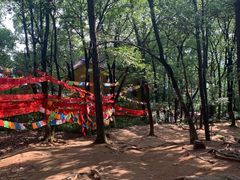 -灵岩山风景区