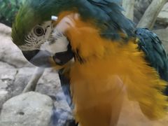 -福州罗源湾海洋世界旅游区