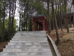 -天鹿湖森林公园