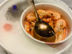 -蒲叙(凯天国际店)