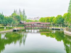 -河泥荡文化公园