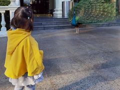 -西昌邛海宾馆
