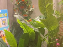 -施奈儿.洗头頭療.按摩SPA.采耳(上梅林店)