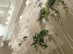 景观位-奈雪的茶(市百一店)