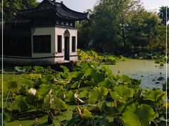 -扬州大运河文化旅游度假区·盆景园