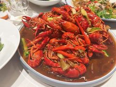 -杨氏青龙虾·羊蝎子(托乐嘉店)