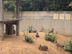 -石家庄市动物园